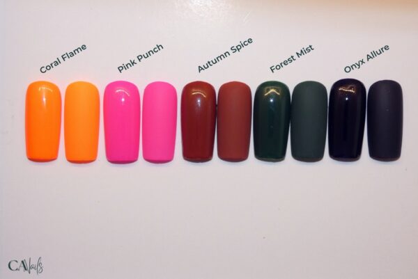 Bold Tones Collectie - Afbeelding 2