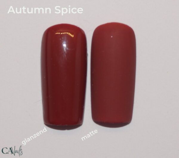 Bold Tones Collectie - Afbeelding 5