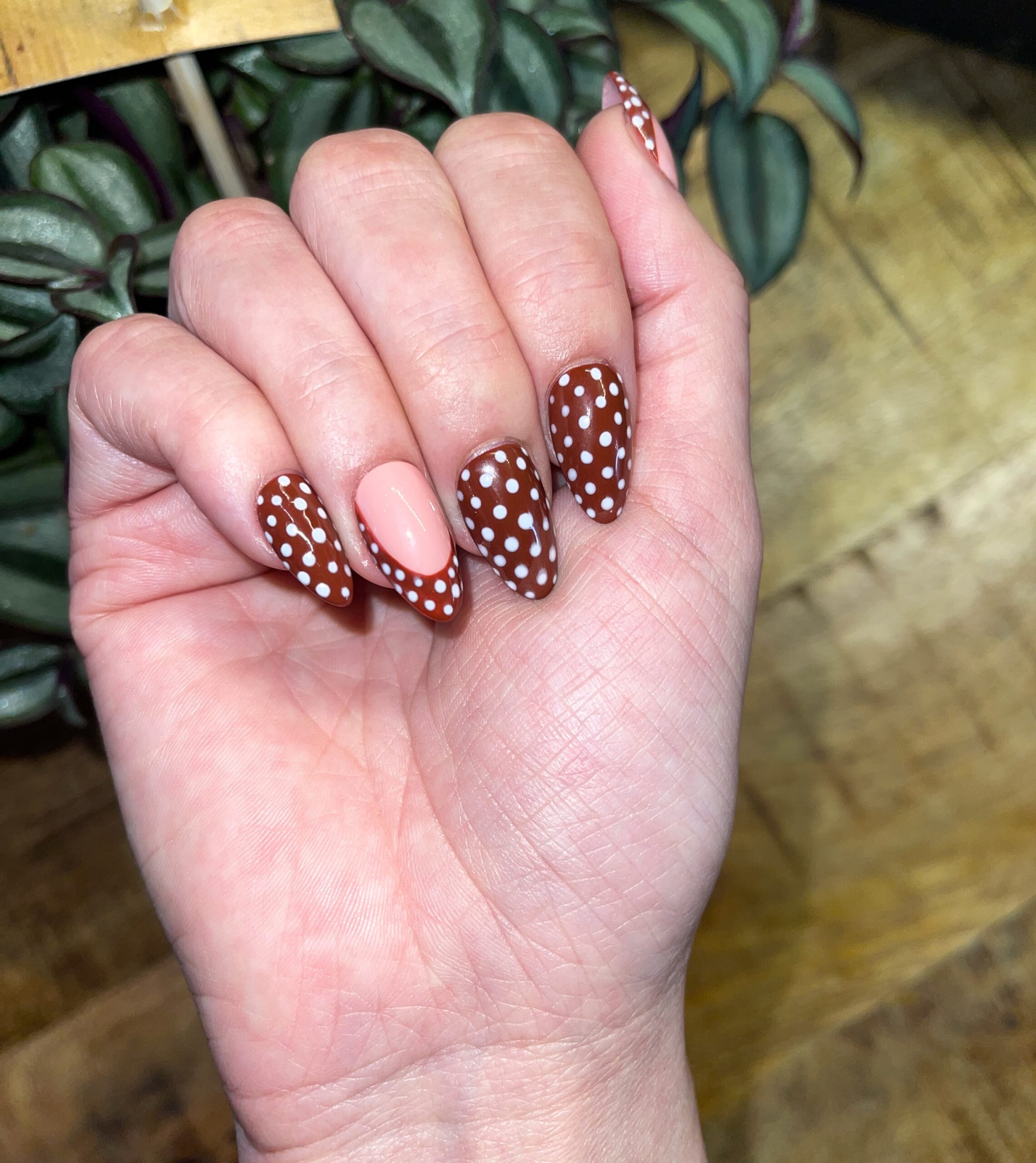 Cocoa Dots