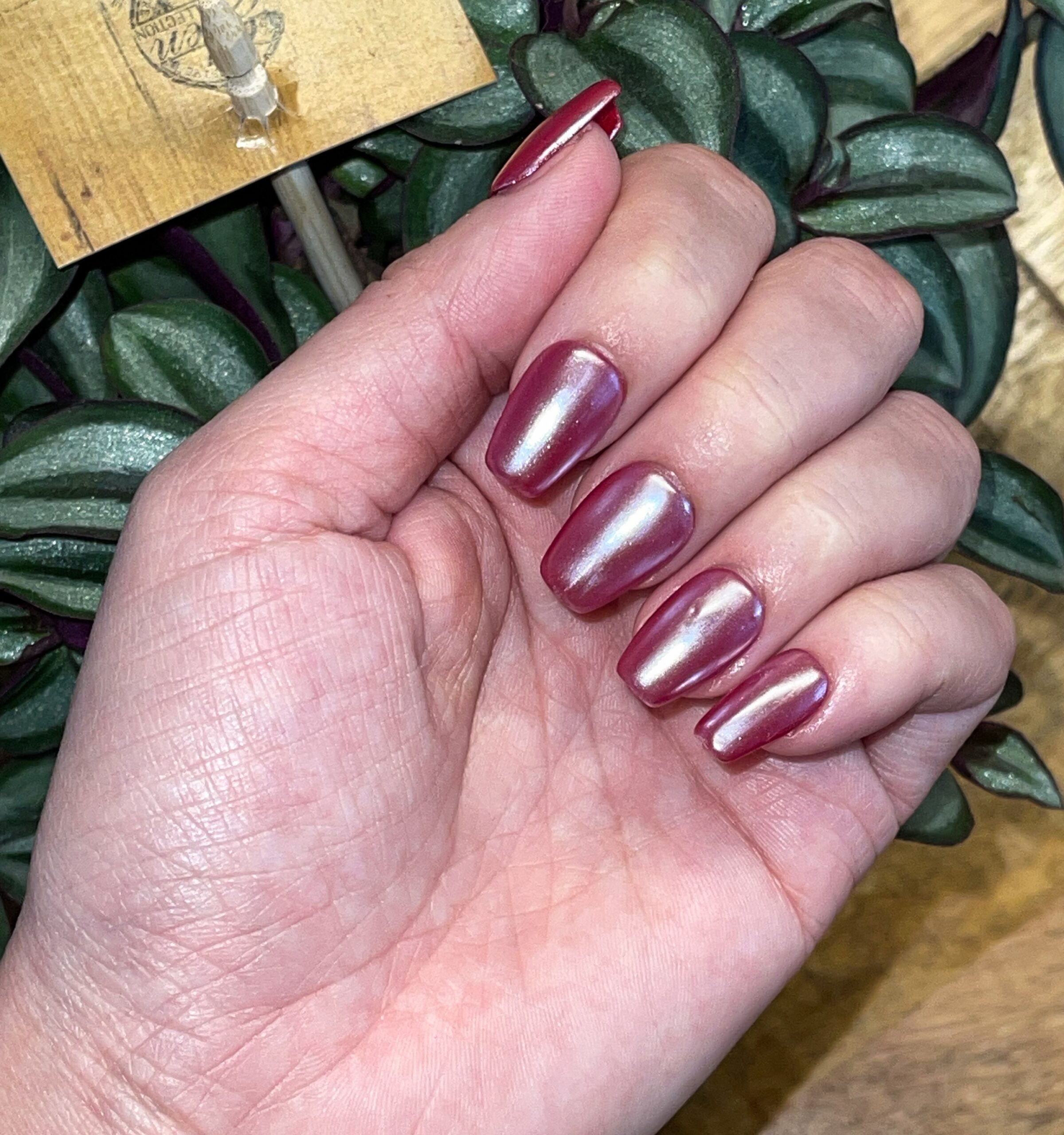 Crimson Reflection
